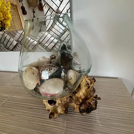 Homestay Tenerife Sur De Lujo